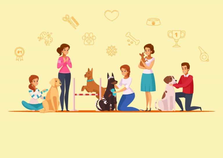 Sports and hobbies – spare time activities