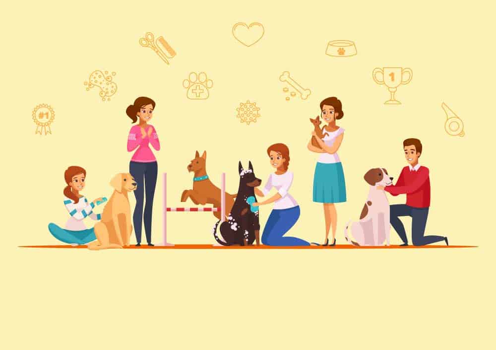 My pets (Intro) 7