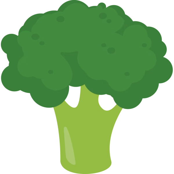 Bild zum Wort „broccoli“: A green vegetable with a thick stem and many small flower heads that is eaten cooked or raw.